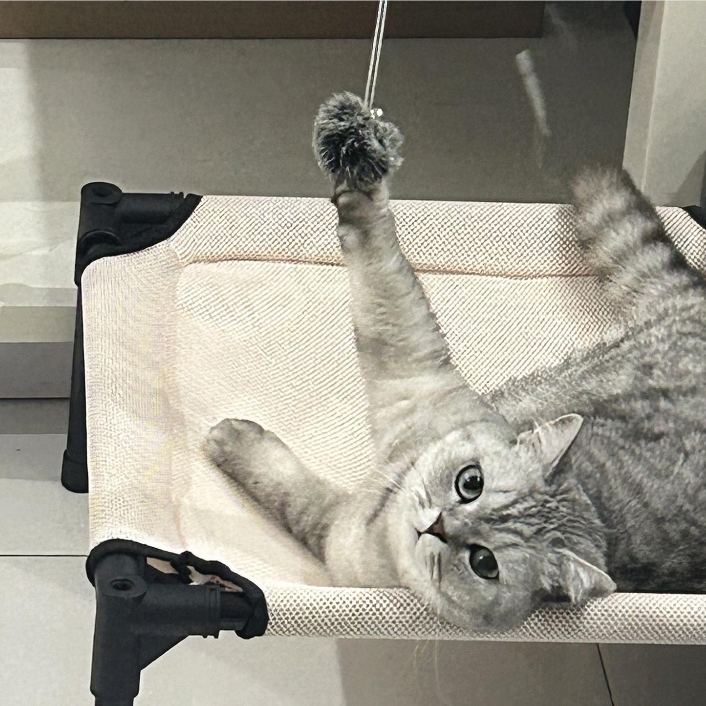 All-Season Elevated Cat Bed with Hanging Toy | Breathable, Moisture-Proof & Washable Pet Cot for Cats & Small Dogs