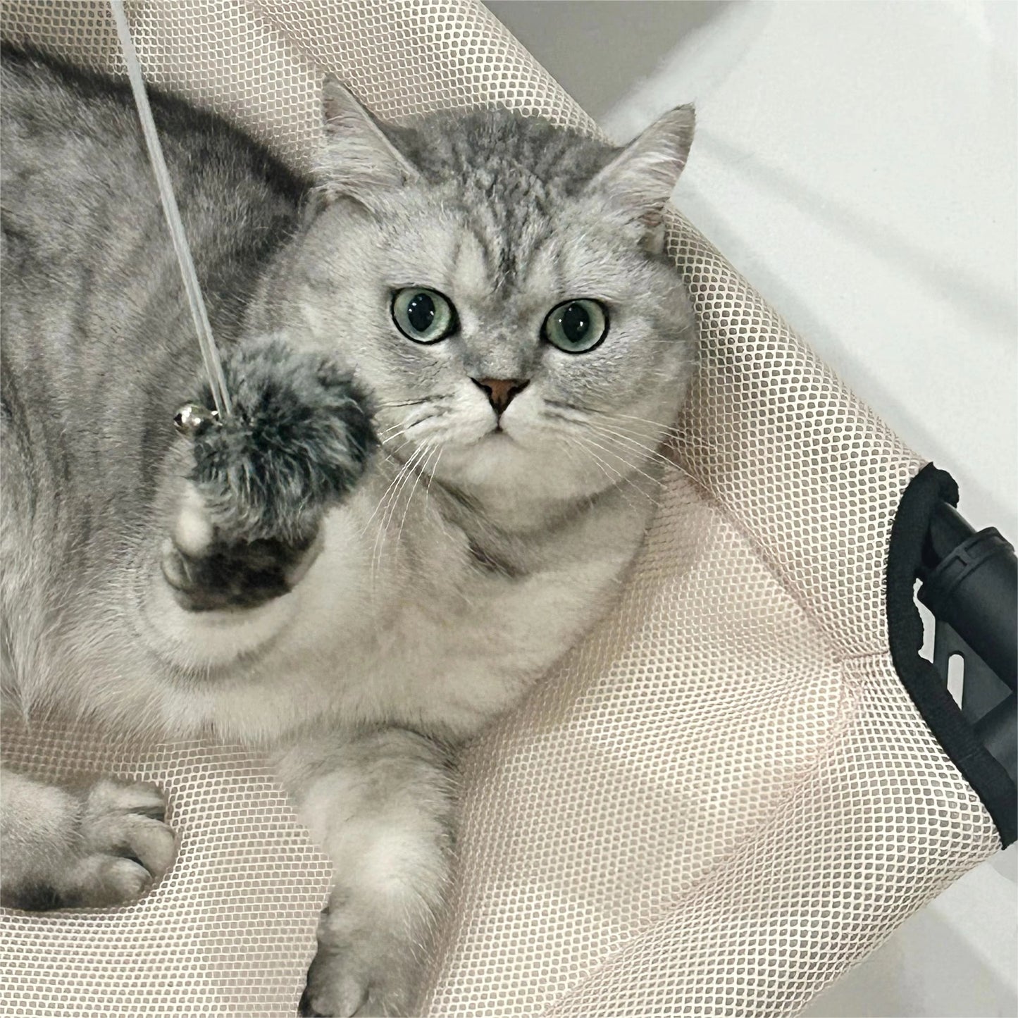 All-Season Elevated Cat Bed with Hanging Toy | Breathable, Moisture-Proof & Washable Pet Cot for Cats & Small Dogs
