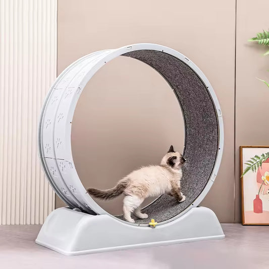 Silent Cat Exercise Wheel & Dog Treadmill | Indoor Pet Fitness Running Wheel | Durable & Quiet Cat Toy