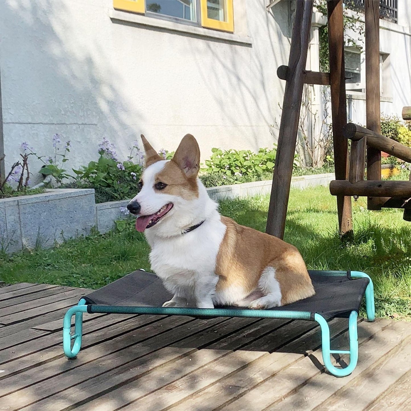 Outdoor Elevated Dog Bed | Waterproof & Chew-Resistant Pet Cot | Detachable Iron Frame with Teslin Mesh | Raised Cooling Dog Cot for Small, Medium & Large Dogs