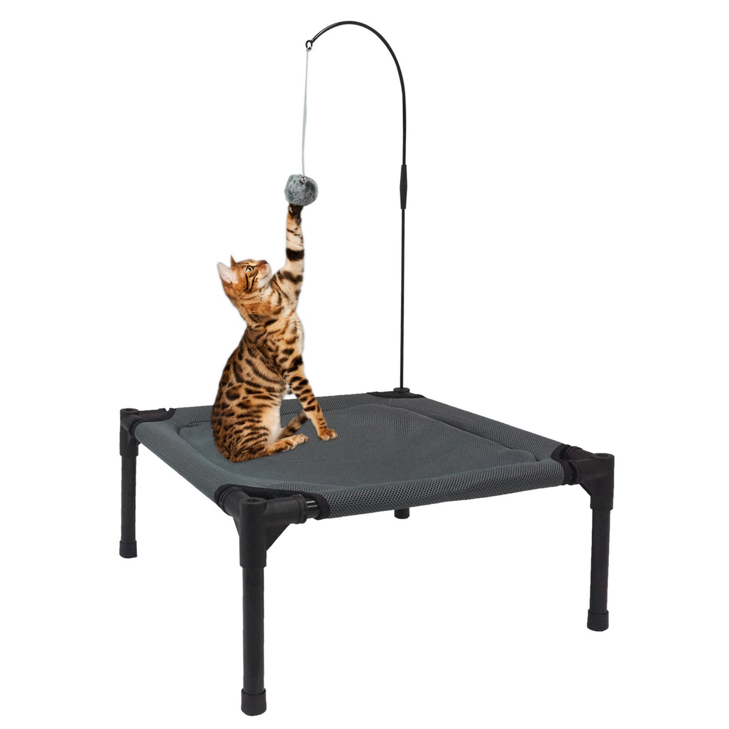 All-Season Elevated Cat Bed with Hanging Toy | Breathable, Moisture-Proof & Washable Pet Cot for Cats & Small Dogs