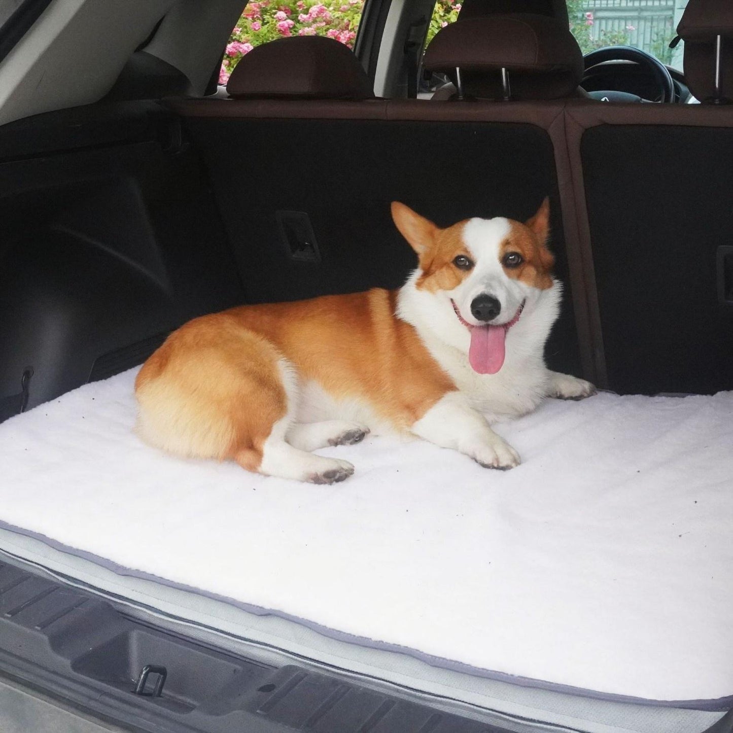 Cozy & Washable Pet Bed Mat | Memory Foam Dog Mattress for Autumn & Winter | Removable, Comfortable & Deep Sleep Support