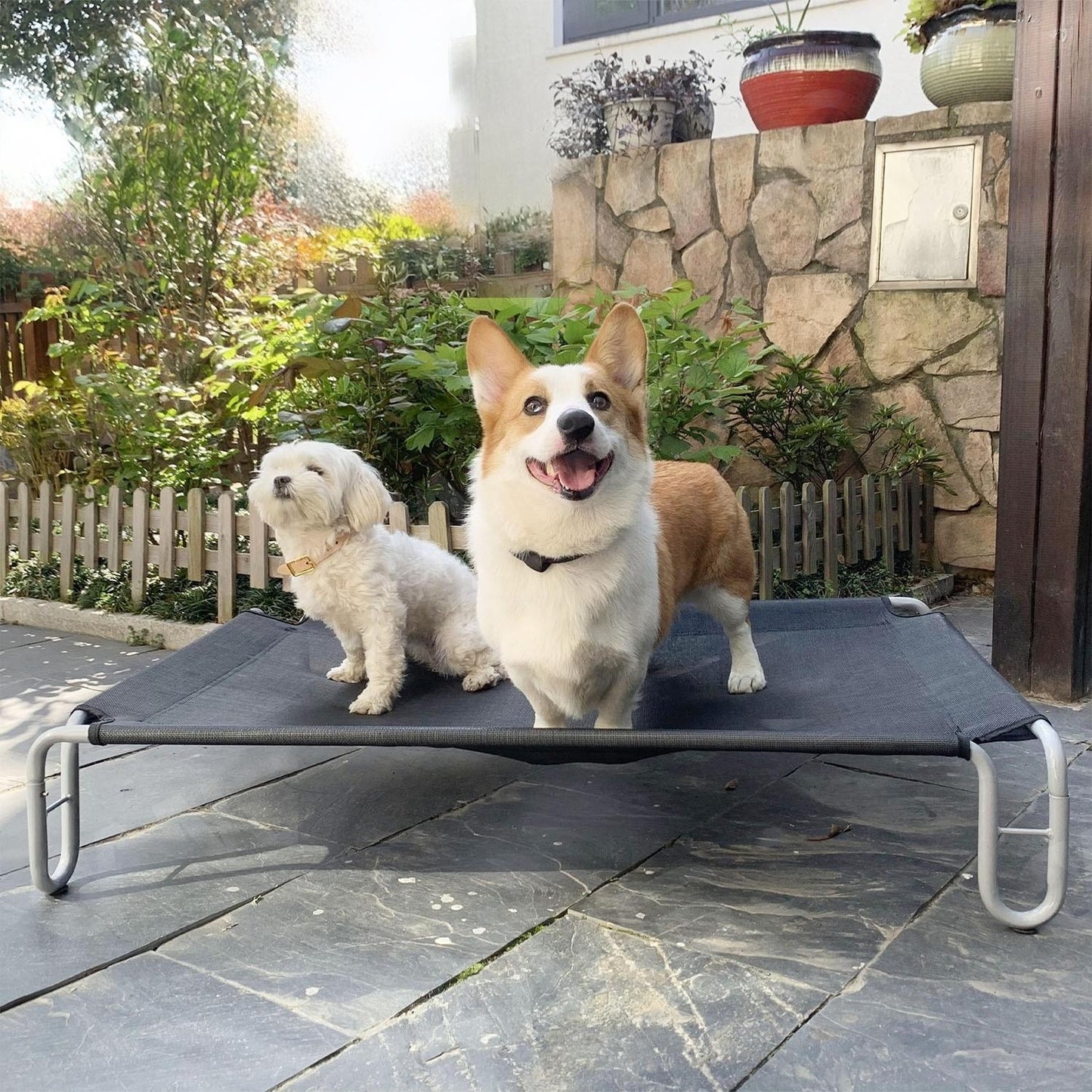 Outdoor Elevated Dog Bed | Waterproof & Chew-Resistant Pet Cot | Detachable Iron Frame with Teslin Mesh | Raised Cooling Dog Cot for Small, Medium & Large Dogs