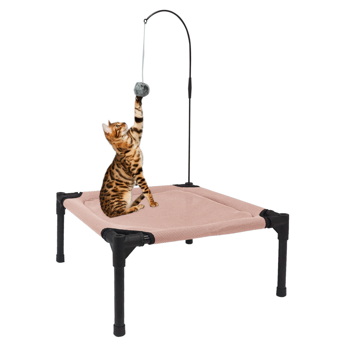 All-Season Elevated Cat Bed with Hanging Toy | Breathable, Moisture-Proof & Washable Pet Cot for Cats & Small Dogs
