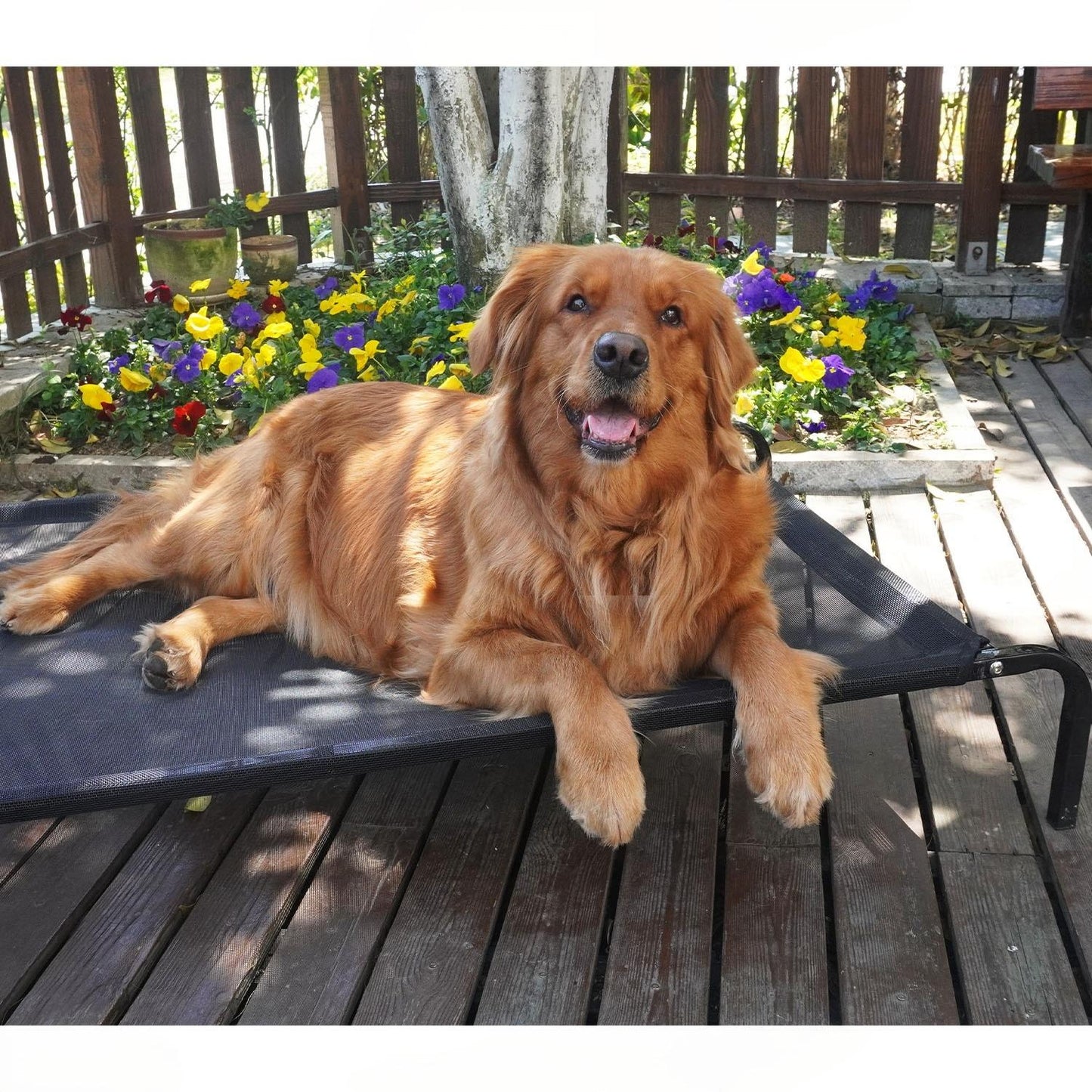 Four-Season Elevated Dog Bed | Chew-Resistant, Breathable & Washable Raised Pet Cot for Large Dogs | Waterproof & Anti-Slip Outdoor Pet Bed