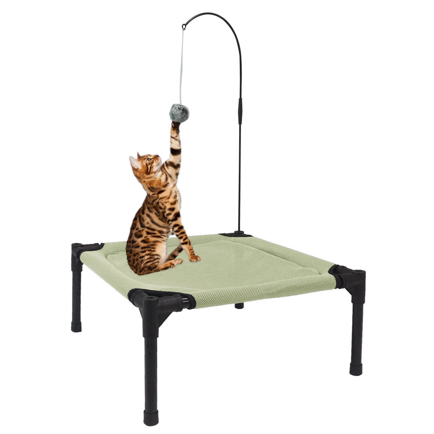 All-Season Elevated Cat Bed with Hanging Toy | Breathable, Moisture-Proof & Washable Pet Cot for Cats & Small Dogs