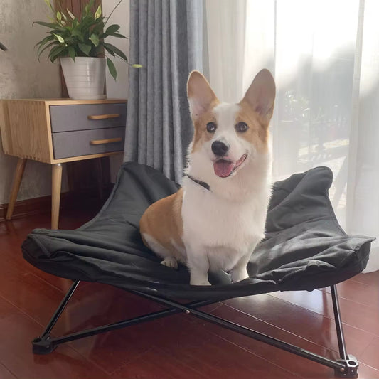 Foldable Elevated Dog Bed | Washable Oxford Cloth Pet Cot | Sturdy Iron Frame Dog Lounger for Indoor & Outdoor Use