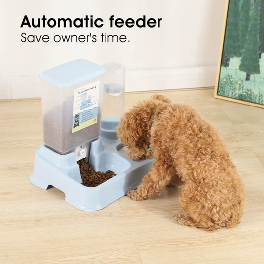 Smart Pet Feeders Help North American Client Grow Online Sales