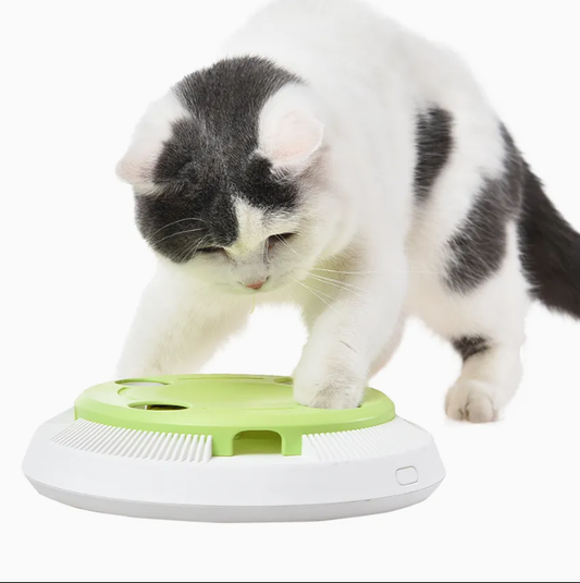 Helping a U.S. Pet Brand Expand Its Product Line