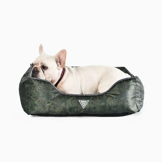 Eco-Friendly Pet Beds Win Over European Retailers