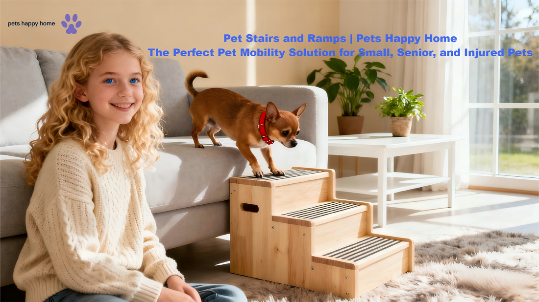 Pet Stairs and Ramps - The Perfect Pet Mobility Solution for Small, Senior, and Injured Pets