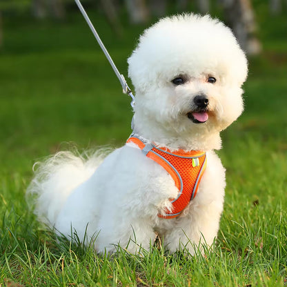 Adjustable Vest Dog Harness with Leash – Escape-Proof & Comfortable for Small Dogs & Cats