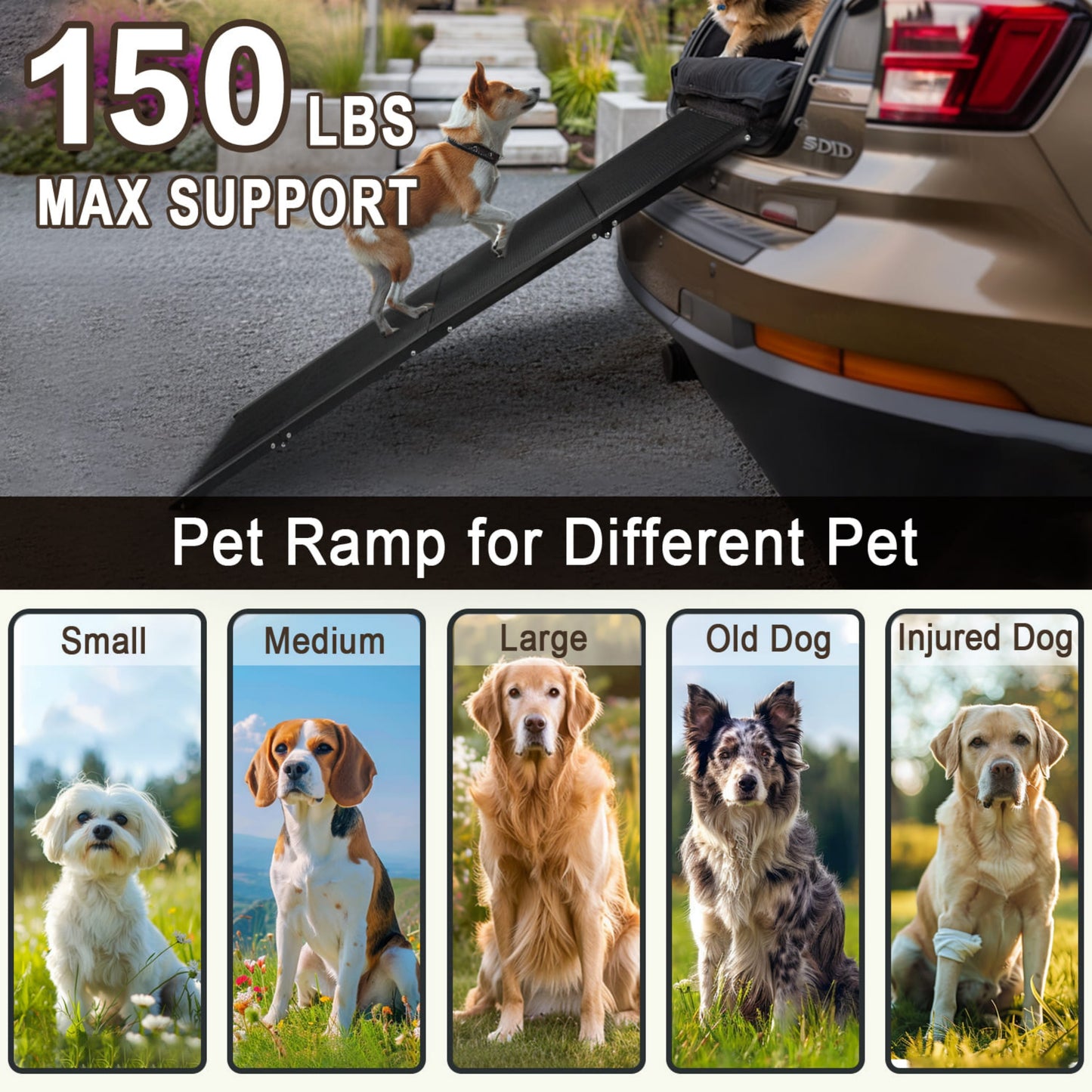 Foldable Car Dog Ramp | Anti-Slip Oxford Cloth Pet Ladder | Portable Dog Stairs for Cars, SUVs & Home | Heavy-Duty Pet Ramp up to 150 lbs