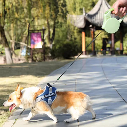 Retractable Dog Leash - 3m/5m Automatic Extension Leash for Small & Medium Dogs - Outdoor Pet Leash with One-Touch Brake
