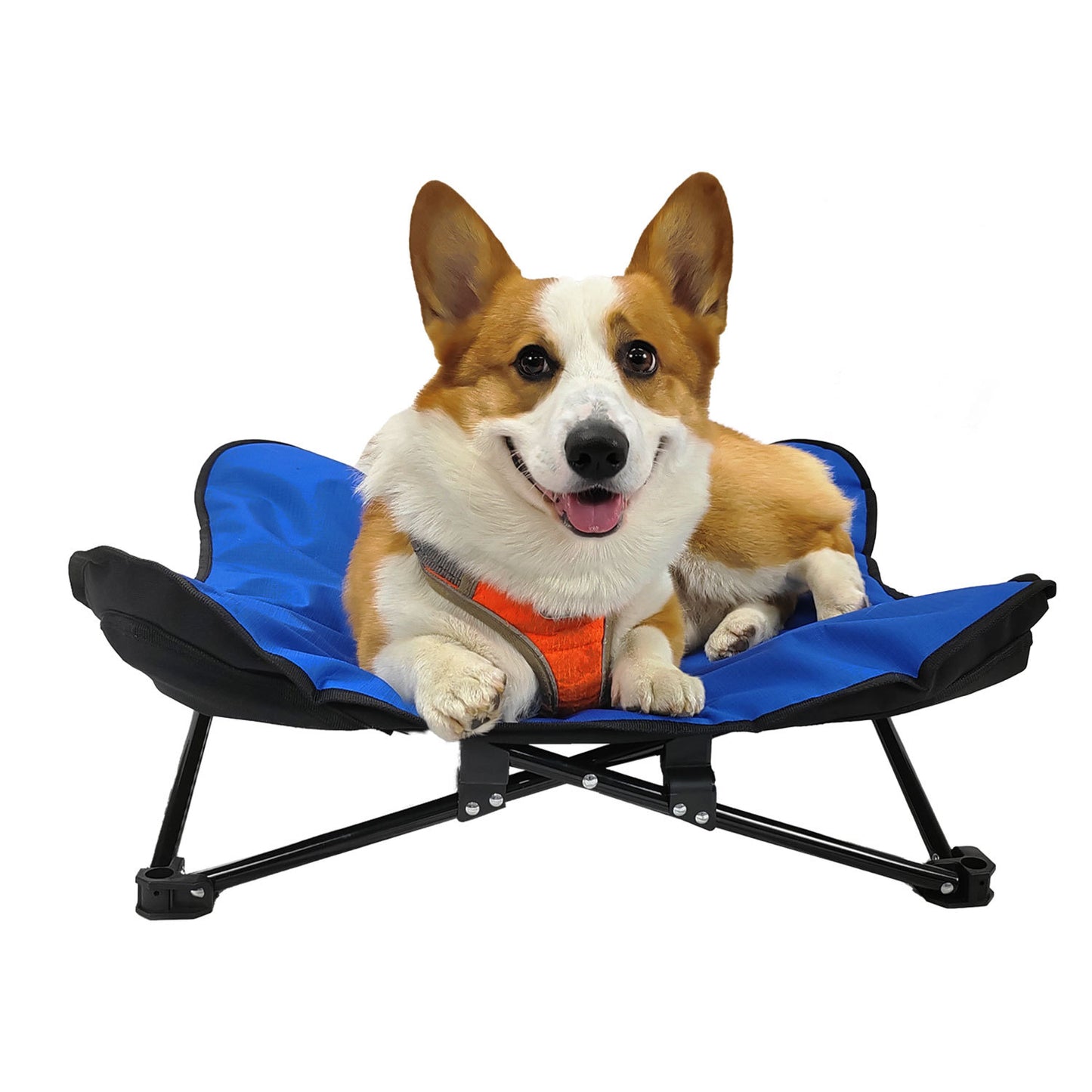 Foldable Elevated Pet Bed for Autumn &amp; Winter | Waterproof, Moisture-Proof, Portable High Frame Dog Bed