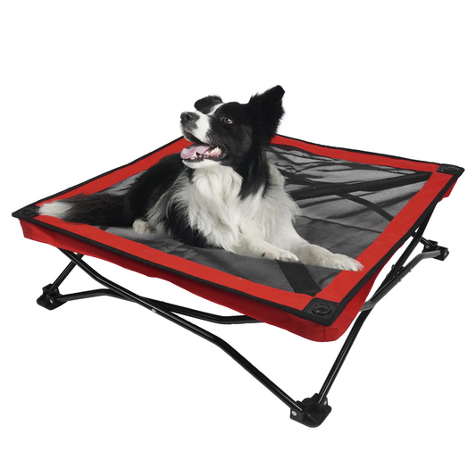 Breathable Summer Pet Bed for Small & Medium Dogs | Foldable, Waterproof, & Anti-Slip Dog Camping Bed for Indoor & Outdoor Use