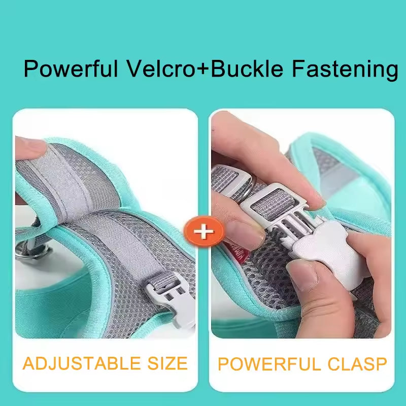Adjustable Vest Dog Harness with Leash – Escape-Proof & Comfortable for Small Dogs & Cats