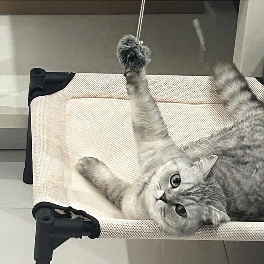 All-Season Elevated Cat Bed with Hanging Toy | Breathable, Moisture-Proof & Washable Pet Cot for Cats & Small Dogs