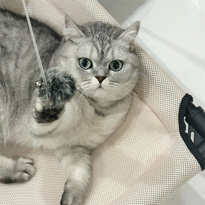All-Season Elevated Cat Bed with Hanging Toy | Breathable, Moisture-Proof & Washable Pet Cot for Cats & Small Dogs