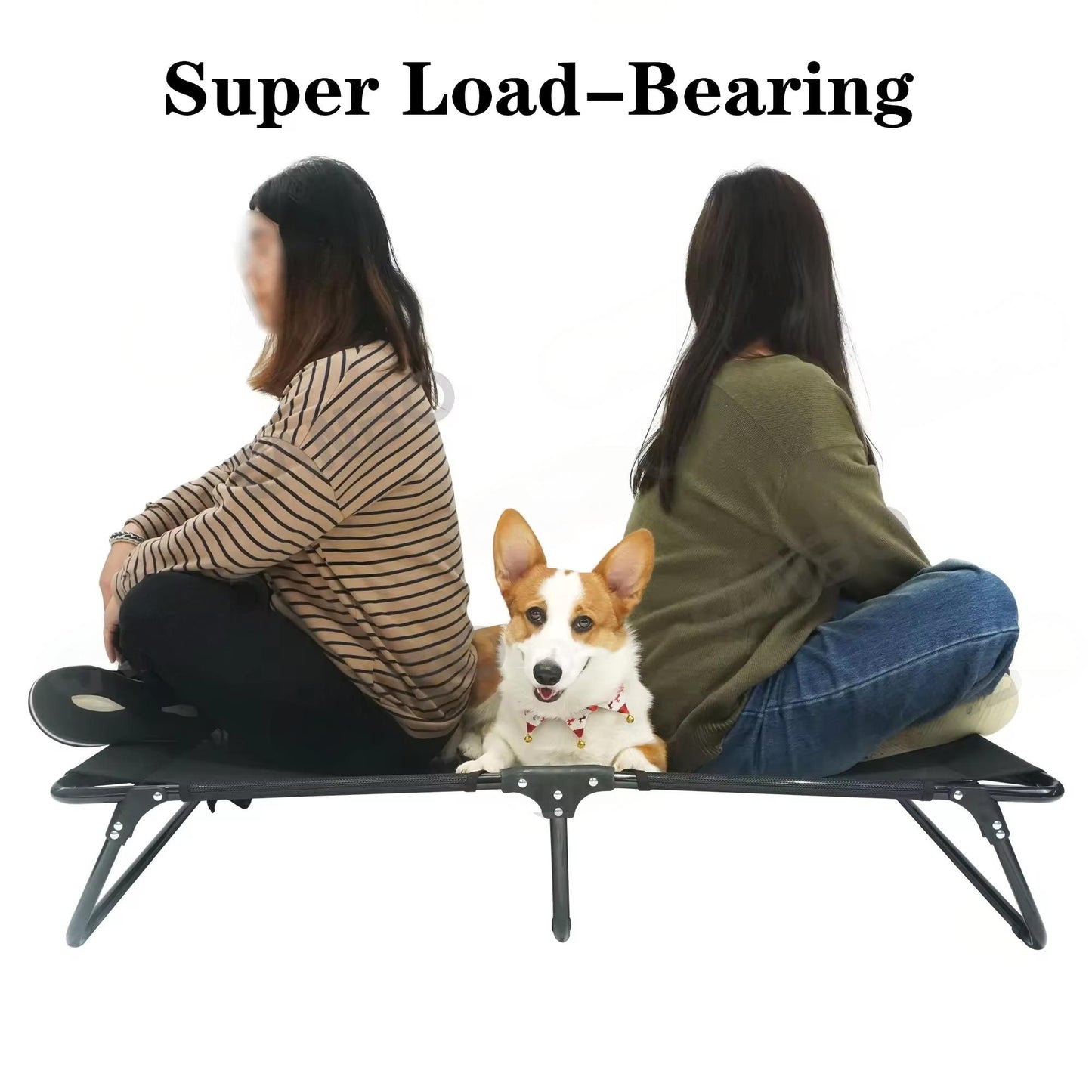 Foldable Elevated Dog Bed | Heavy Duty Waterproof Pet Bed for Medium & Large Dogs | Easy to Assemble, Portable Pet Cot for Outdoor & Indoor Use