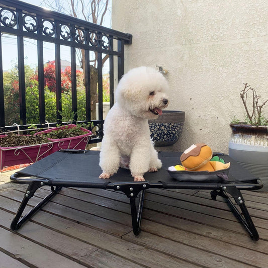 Foldable Elevated Dog Bed | Heavy Duty Waterproof Pet Bed for Medium & Large Dogs | Easy to Assemble, Portable Pet Cot for Outdoor & Indoor Use