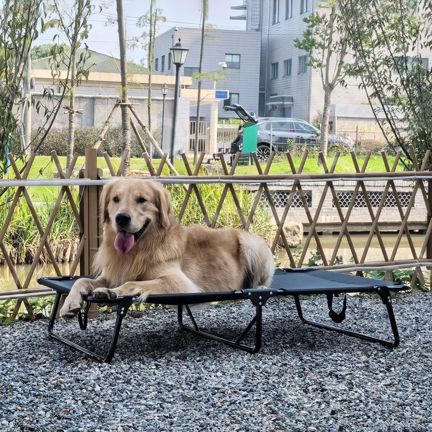Foldable Elevated Dog Bed | Heavy Duty Waterproof Pet Bed for Medium & Large Dogs | Easy to Assemble, Portable Pet Cot for Outdoor & Indoor Use