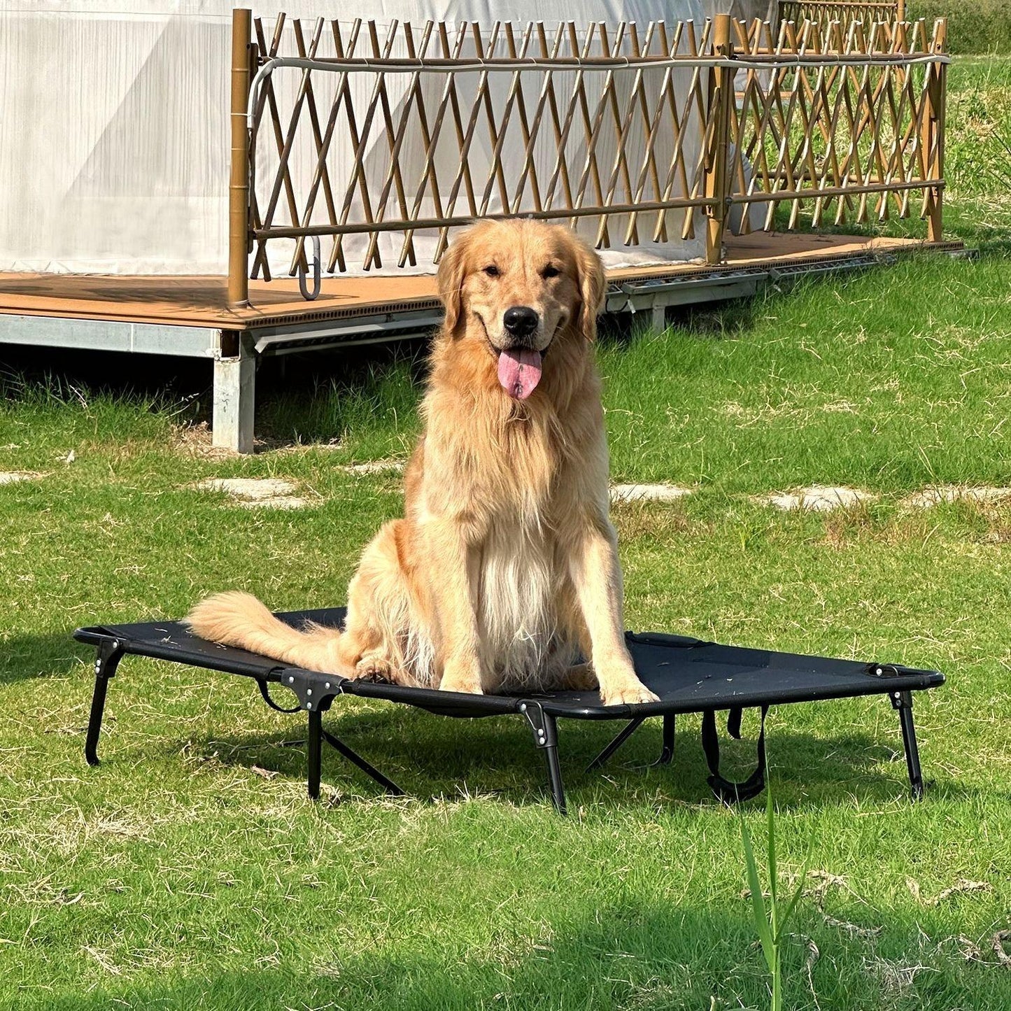 Foldable Elevated Dog Bed | Heavy Duty Waterproof Pet Bed for Medium & Large Dogs | Easy to Assemble, Portable Pet Cot for Outdoor & Indoor Use