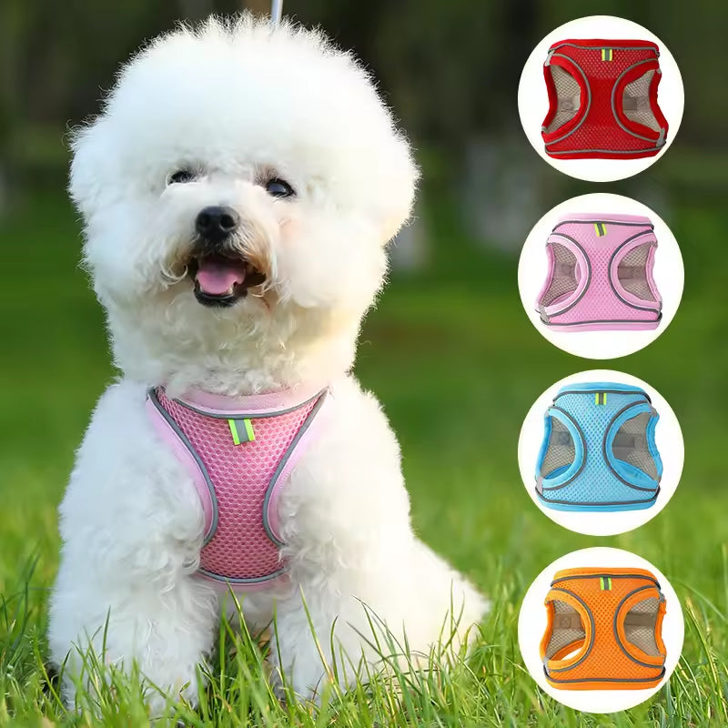 Adjustable Vest Dog Harness with Leash – Escape-Proof & Comfortable for Small Dogs & Cats