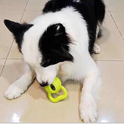 Durable TPR Dog Toy with Pull Ring | Interactive Chew & Treat Dispensing Cheese Ball | Dental Care & IQ Training for Dogs