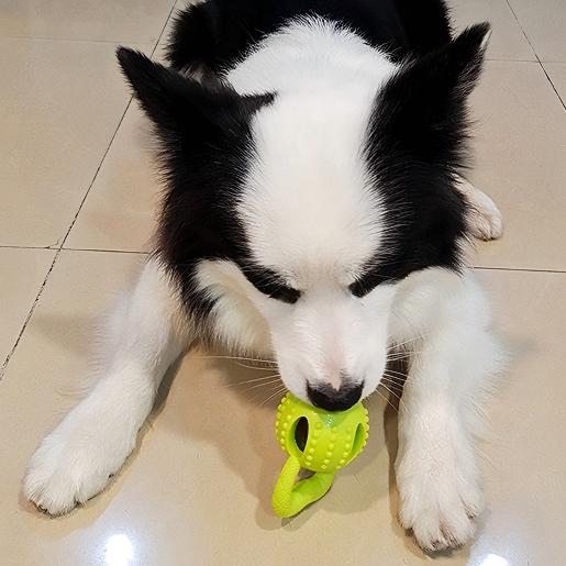 Durable TPR Dog Toy with Pull Ring | Interactive Chew & Treat Dispensing Cheese Ball | Dental Care & IQ Training for Dogs