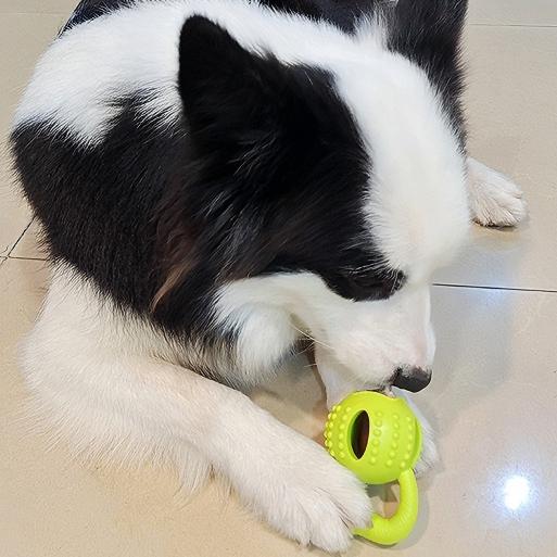 Durable TPR Dog Toy with Pull Ring | Interactive Chew & Treat Dispensing Cheese Ball | Dental Care & IQ Training for Dogs