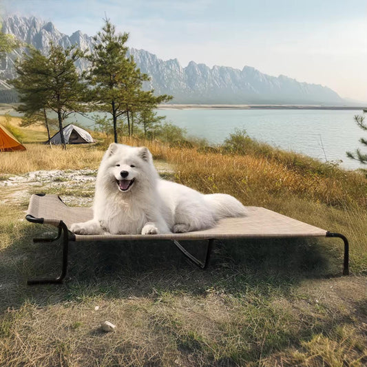 Outdoor & Indoor Elevated Dog Bed | Teslin Breathable Cooling Pet Cot for Medium & Large Dogs | Chew-Resistant, Heavy-Duty & Easy to Clean