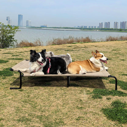 Outdoor & Indoor Elevated Dog Bed | Teslin Breathable Cooling Pet Cot for Medium & Large Dogs | Chew-Resistant, Heavy-Duty & Easy to Clean