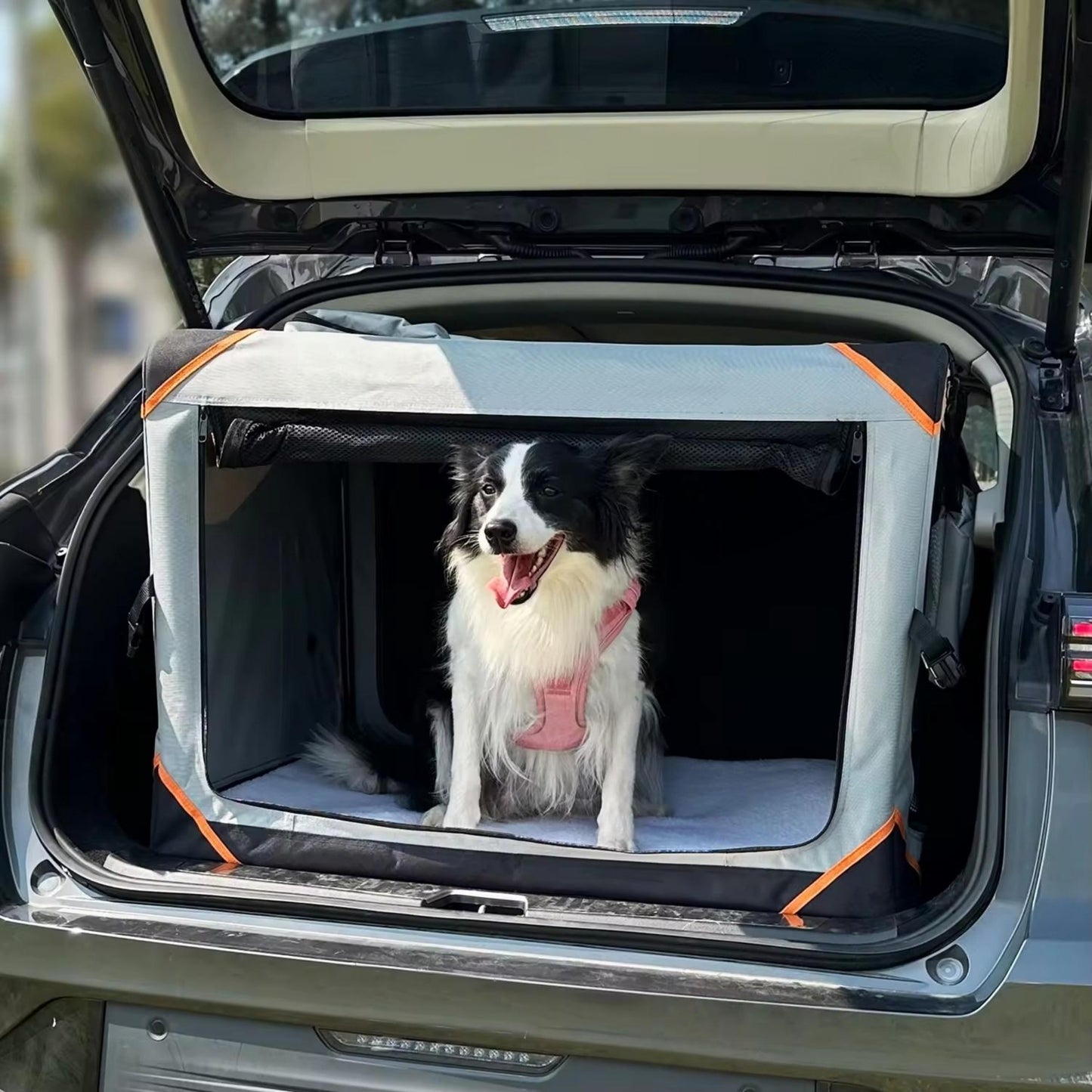 Foldable Outdoor Car Pet Crate | Extra Large Portable Dog Travel Kennel | Collapsible Cat & Dog Carrier for Car, Home & Outdoor Use