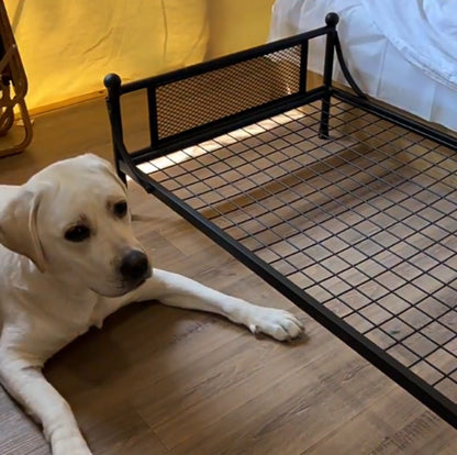 Winter Elevated Dog Bed with Cushion | Iron Frame Pet Cot | Durable, Breathable & Cozy Pet Furniture for Medium & Large Dogs