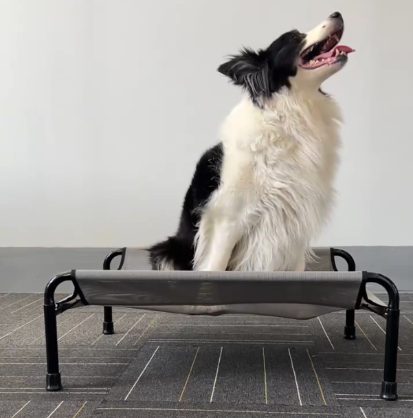 Durable Iron Frame Elevated Pet Bed | Tear-Resistant Textiline Fabric for Large Dogs | Elevated Outdoor Pet Bed