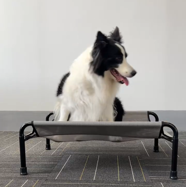 Durable Iron Frame Elevated Pet Bed | Tear-Resistant Textiline Fabric for Large Dogs | Elevated Outdoor Pet Bed