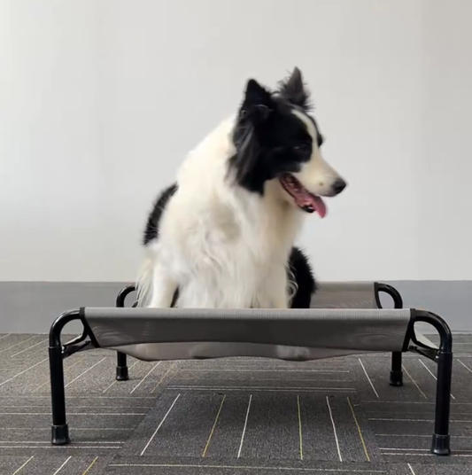 Durable Iron Frame Elevated Pet Bed | Tear-Resistant Textiline Fabric for Large Dogs | Elevated Outdoor Pet Bed