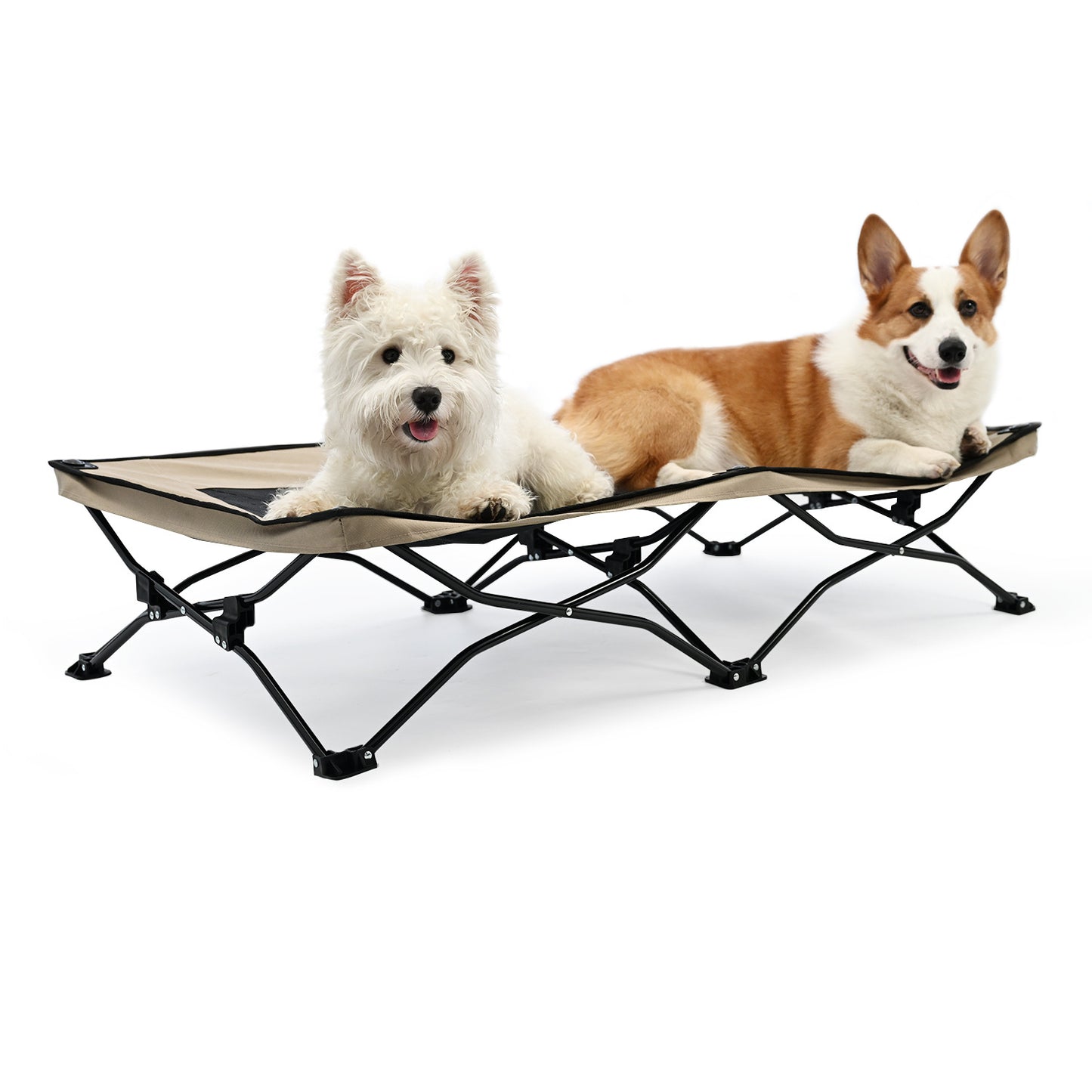 All-Season Elevated Dog Camping Bed | Foldable Breathable Outdoor Pet Cot with Teslin Mesh & Oxford Fabric for Large Dogs