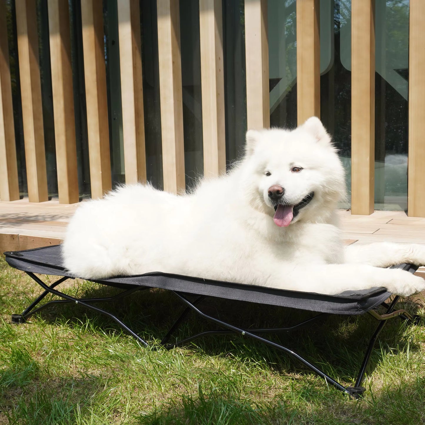 All-Season Elevated Dog Camping Bed | Foldable Breathable Outdoor Pet Cot with Teslin Mesh & Oxford Fabric for Large Dogs