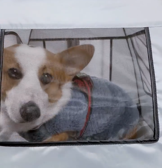 Outdoor Elevated Dog Tent Bed with Canopy  Portable Pet Cot for Camping, Beach & Backyard  Sun Protection & Cooling Dog Cot