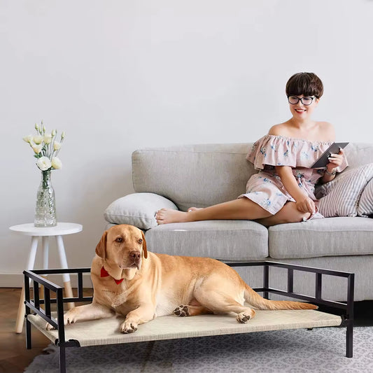 Elevated Steel Frame Dog Bed | Waterproof, Breathable, Durable, and Easy to Clean | Outdoor & Indoor Pet Bed for Dogs