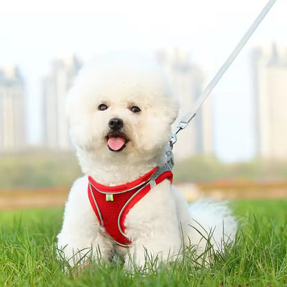 Adjustable Vest Dog Harness with Leash – Escape-Proof & Comfortable for Small Dogs & Cats