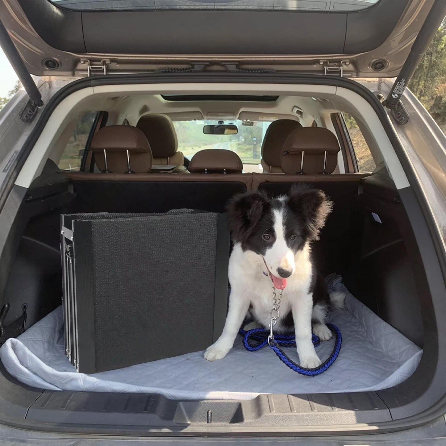 Foldable Car Dog Ramp | Anti-Slip Oxford Cloth Pet Ladder | Portable Dog Stairs for Cars, SUVs & Home | Heavy-Duty Pet Ramp up to 150 lbs