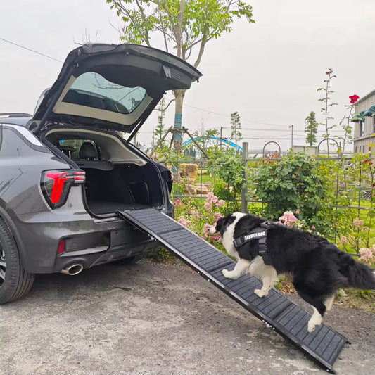 Foldable Felt Dog Car Ramp | Portable Non-Slip Pet Ladder for SUVs, Trucks & Indoor Use