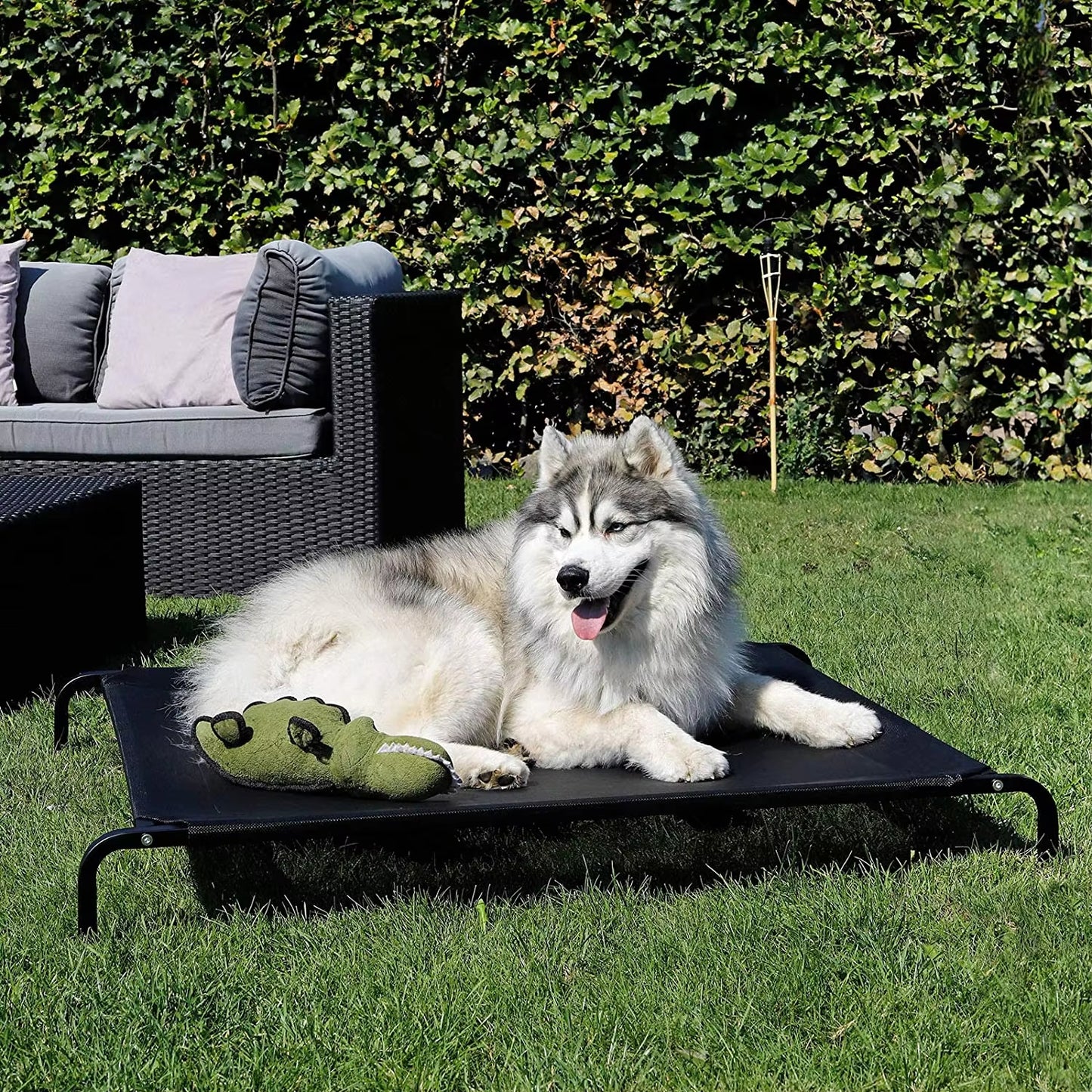 Four-Season Elevated Dog Bed | Chew-Resistant, Breathable & Washable Raised Pet Cot for Large Dogs | Waterproof & Anti-Slip Outdoor Pet Bed