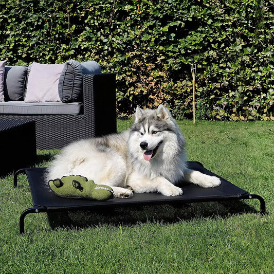 Four-Season Elevated Dog Bed | Chew-Resistant, Breathable & Washable Raised Pet Cot for Large Dogs | Waterproof & Anti-Slip Outdoor Pet Bed