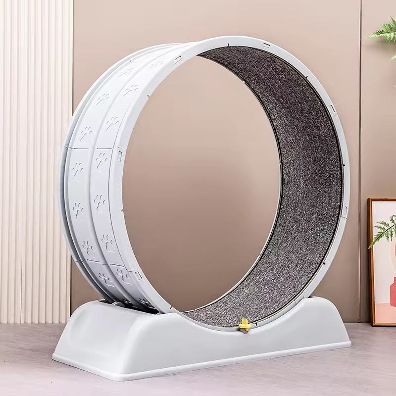 Silent Cat Exercise Wheel &amp; Dog Treadmill | Indoor Pet Fitness Running Wheel | Durable &amp; Quiet Cat Toy
