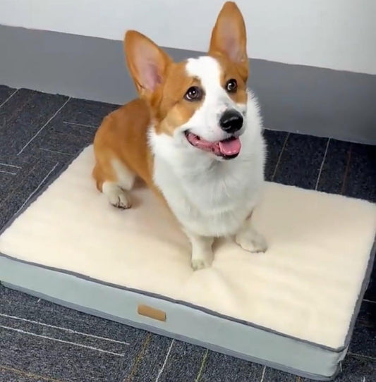 Cozy & Washable Pet Bed Mat | Memory Foam Dog Mattress for Autumn & Winter | Removable, Comfortable & Deep Sleep Support