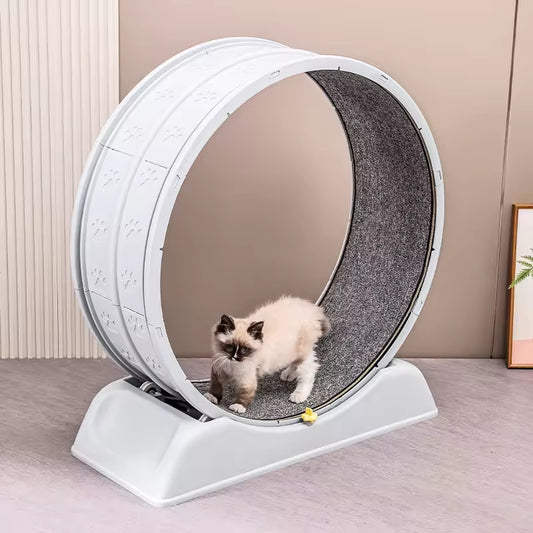 Silent Cat Exercise Wheel &amp; Dog Treadmill | Indoor Pet Fitness Running Wheel | Durable &amp; Quiet Cat Toy